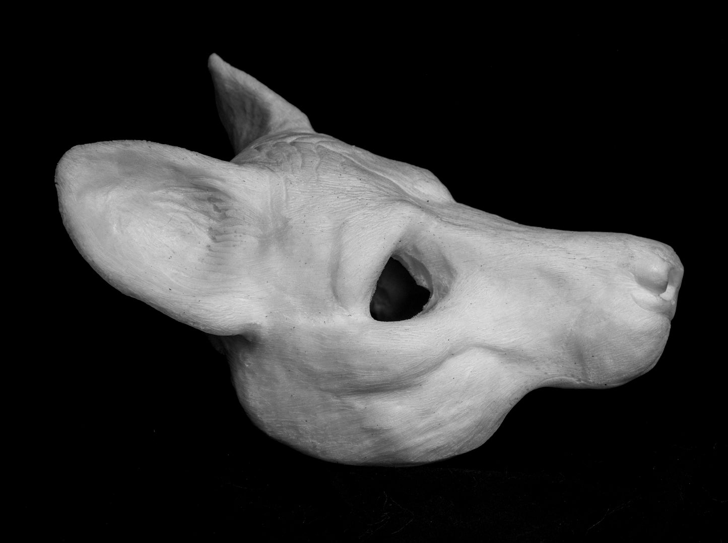 Hyena, Gnoll, Wild-dog Mask for LARP, soft foam