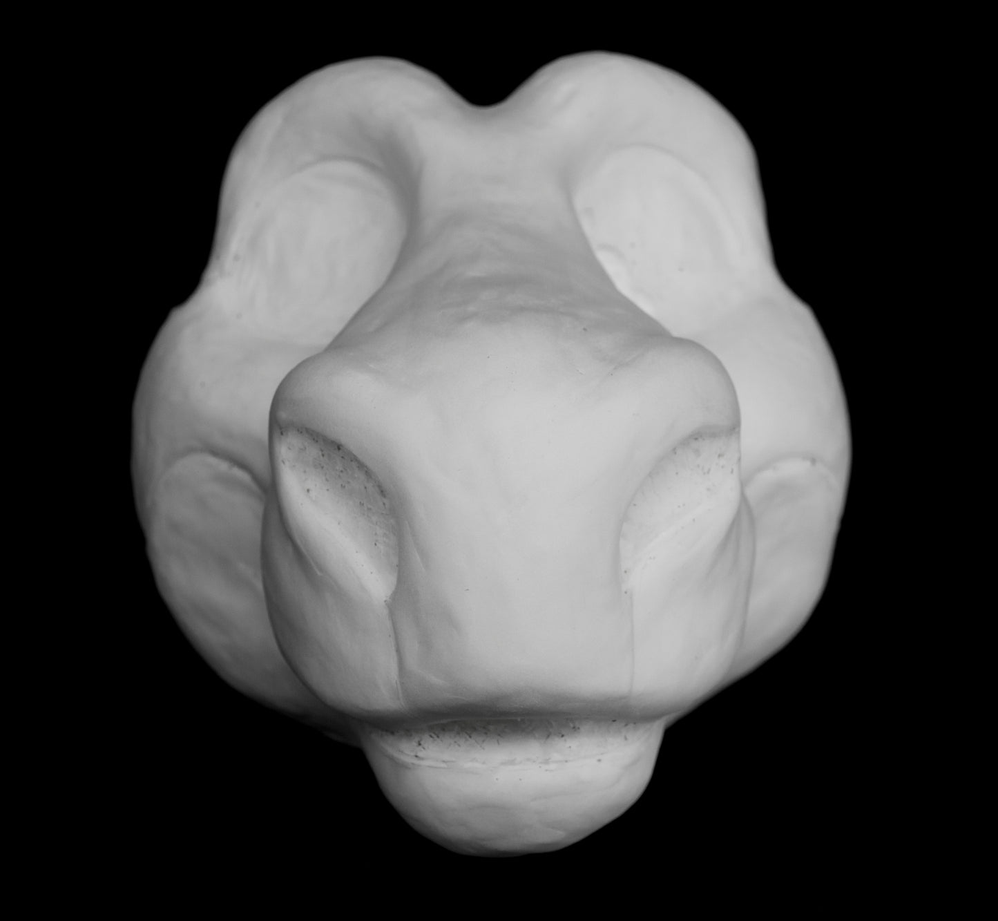 Raptor foam head base for costumes, mascots and fursuits.