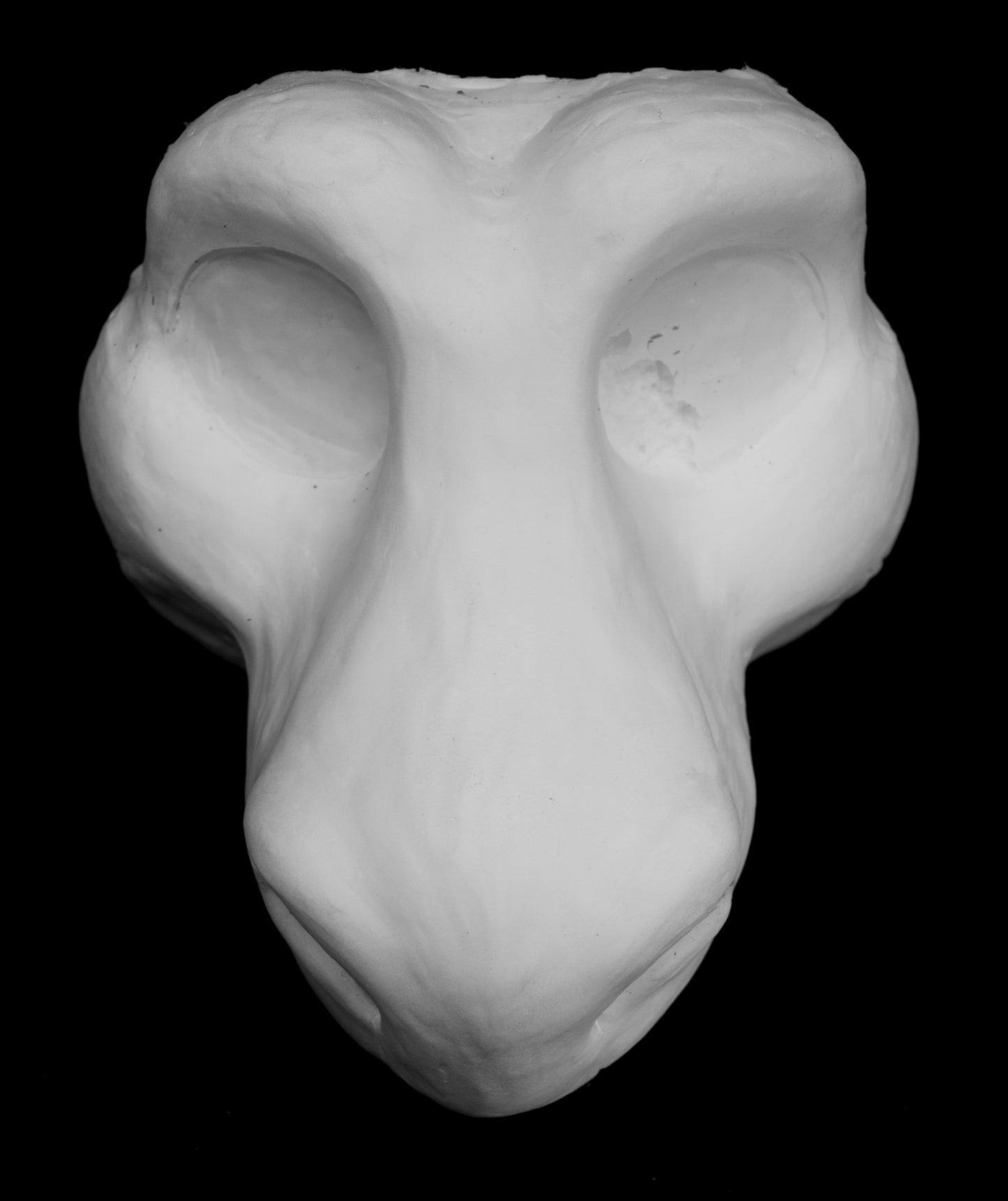 Raptor foam head base for costumes, mascots and fursuits.