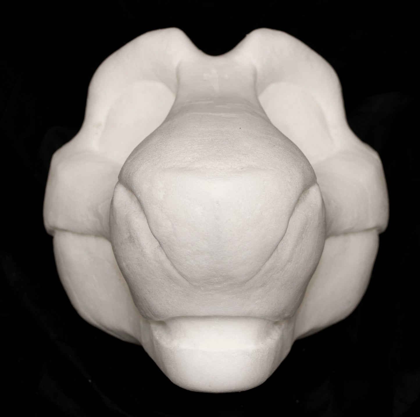 Toony Sergal soft foam head base for costumes, mascots and fursuits, uncut and cut & carved options