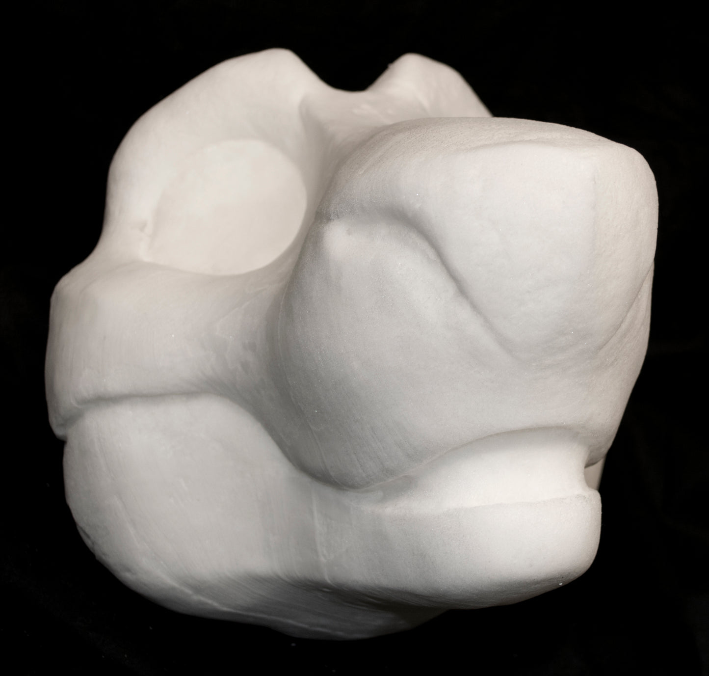 Toony Sergal soft foam head base for costumes, mascots and fursuits, uncut and cut & carved options
