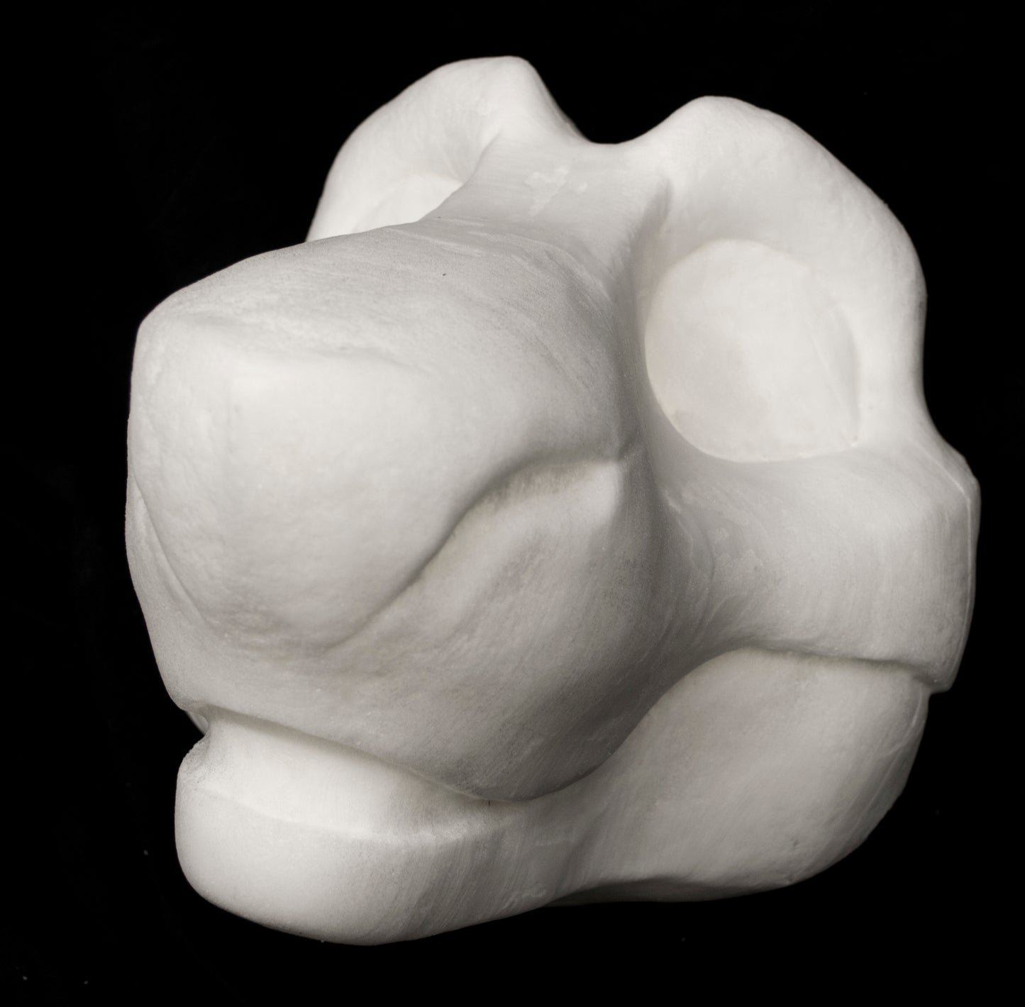 Toony Sergal soft foam head base for costumes, mascots and fursuits, uncut and cut & carved options