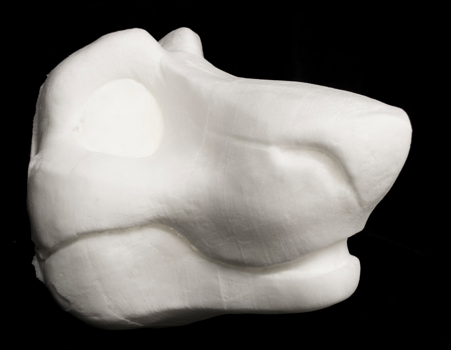 Toony Sergal soft foam head base for costumes, mascots and fursuits, uncut and cut & carved options