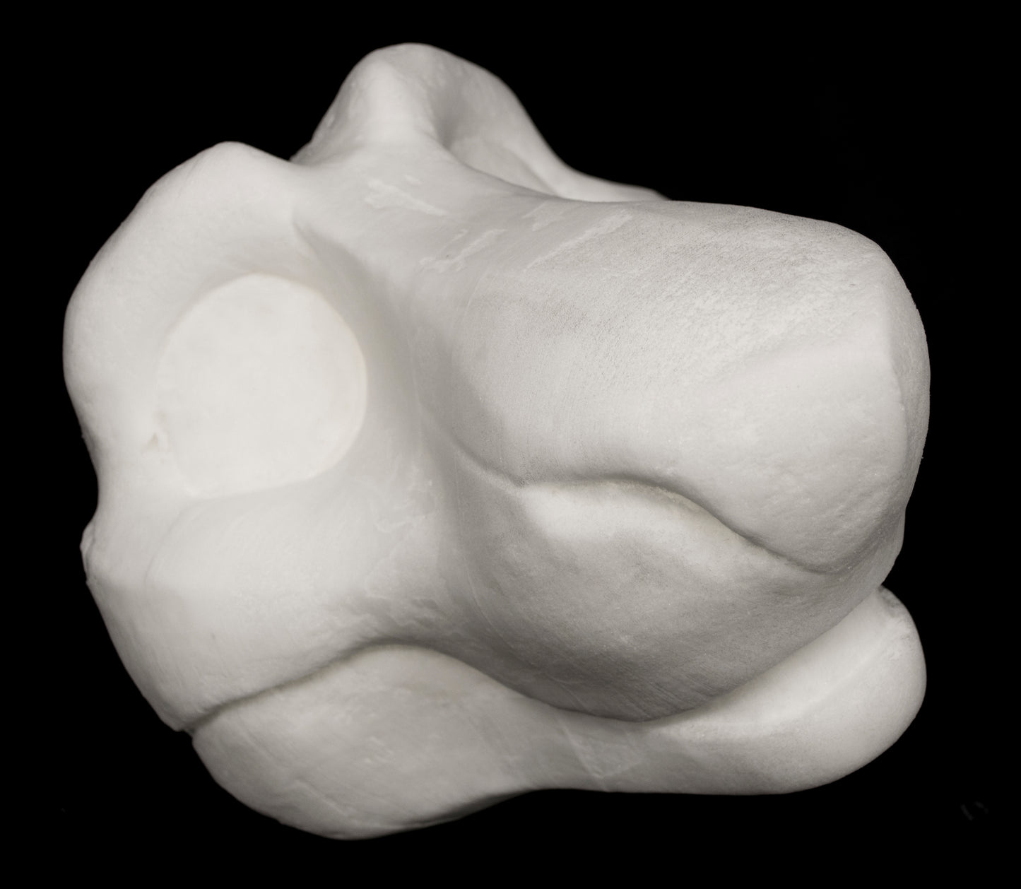 Toony Sergal soft foam head base for costumes, mascots and fursuits, uncut and cut & carved options
