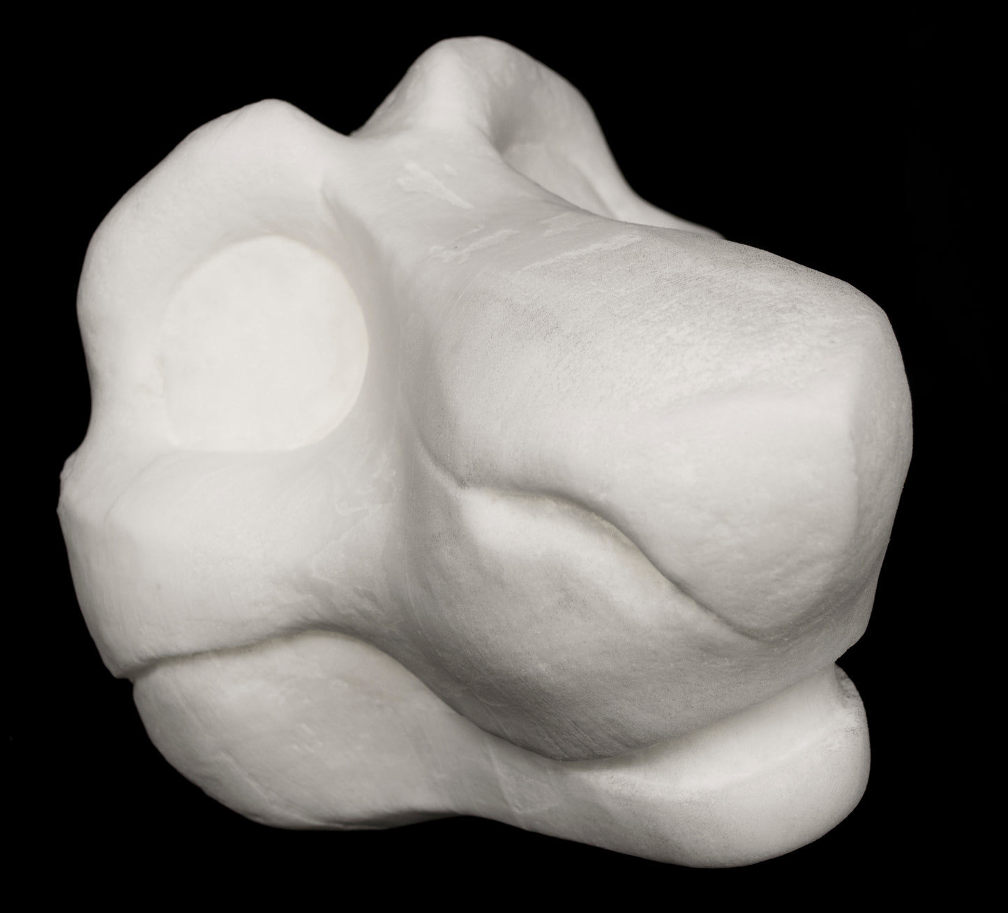 Toony Sergal soft foam head base for costumes, mascots and fursuits, uncut and cut & carved options