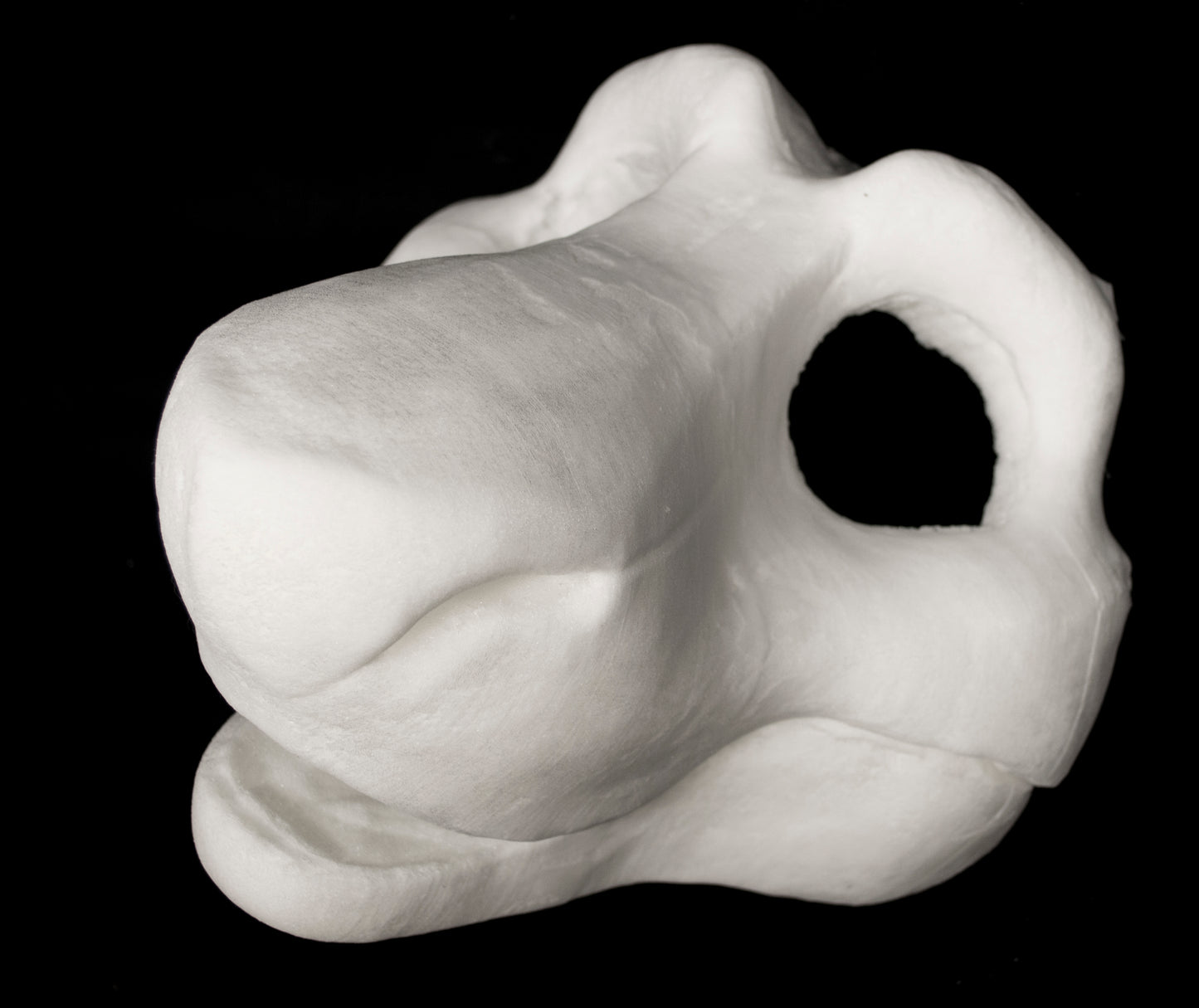 Toony Sergal soft foam head base for costumes, mascots and fursuits, uncut and cut & carved options