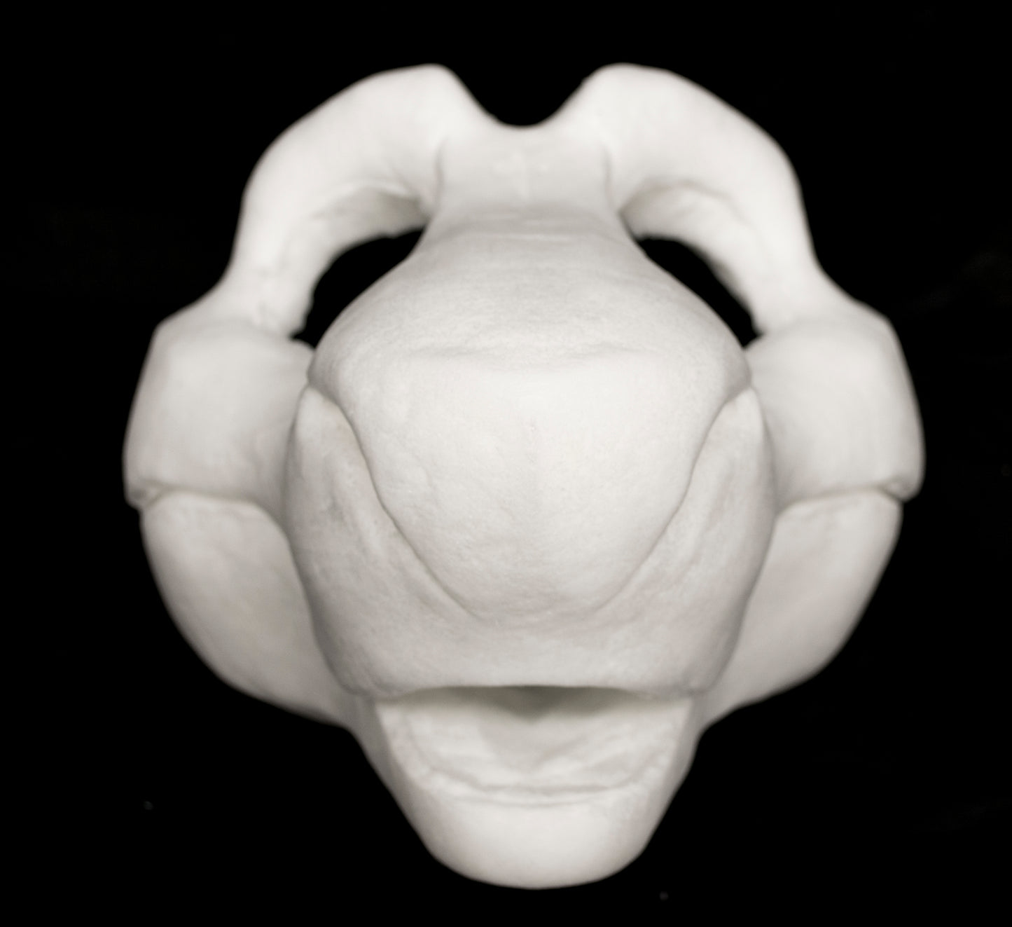 Toony Sergal soft foam head base for costumes, mascots and fursuits, uncut and cut & carved options
