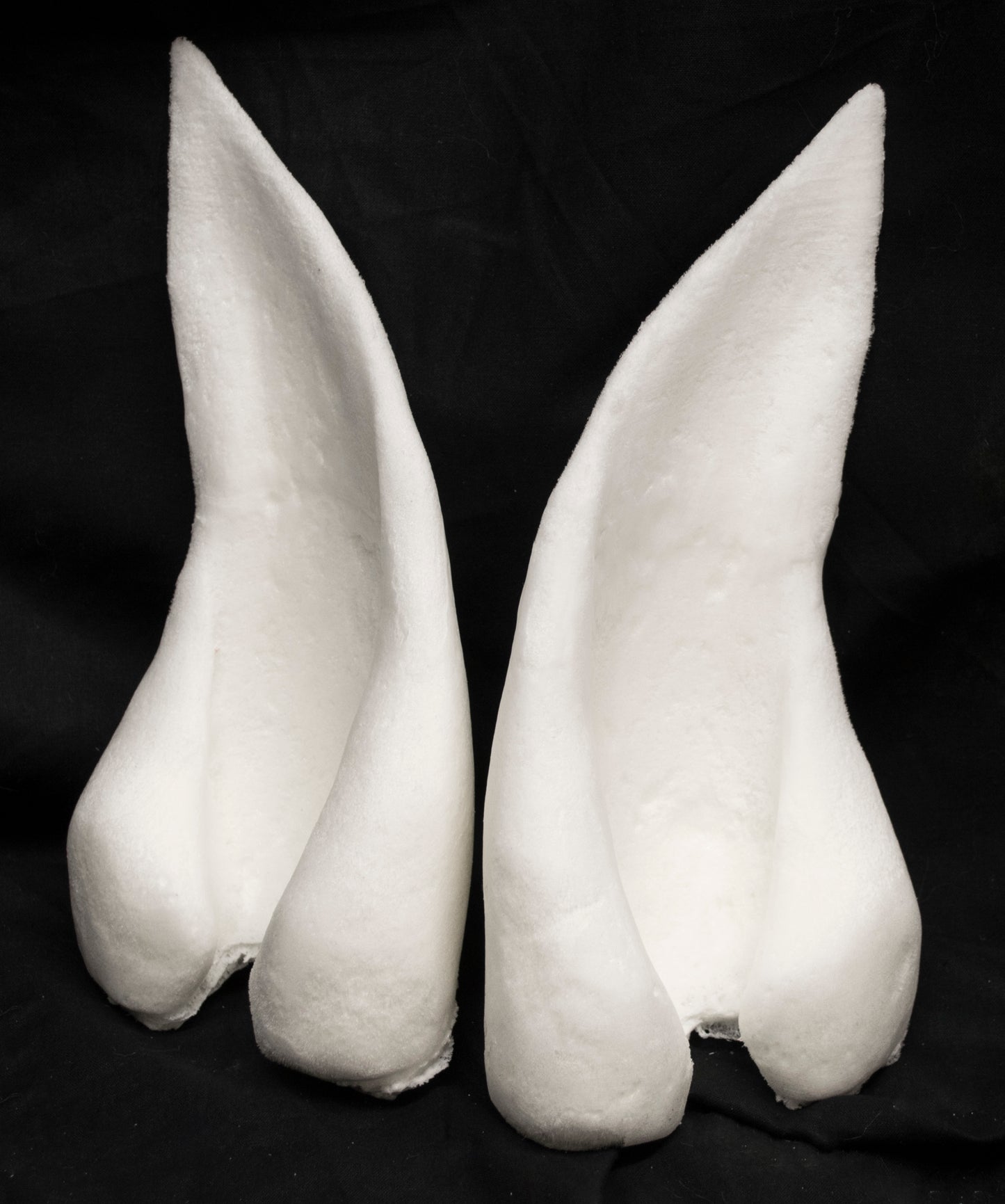 Manokit ears for costumes, mascots and fursuits