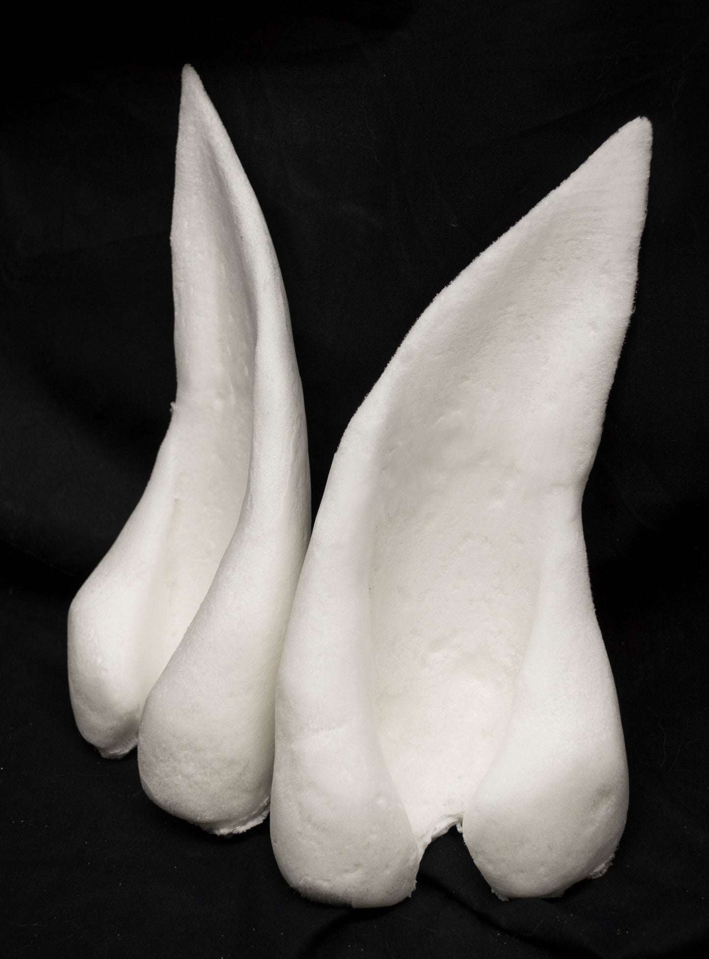 Manokit ears for costumes, mascots and fursuits