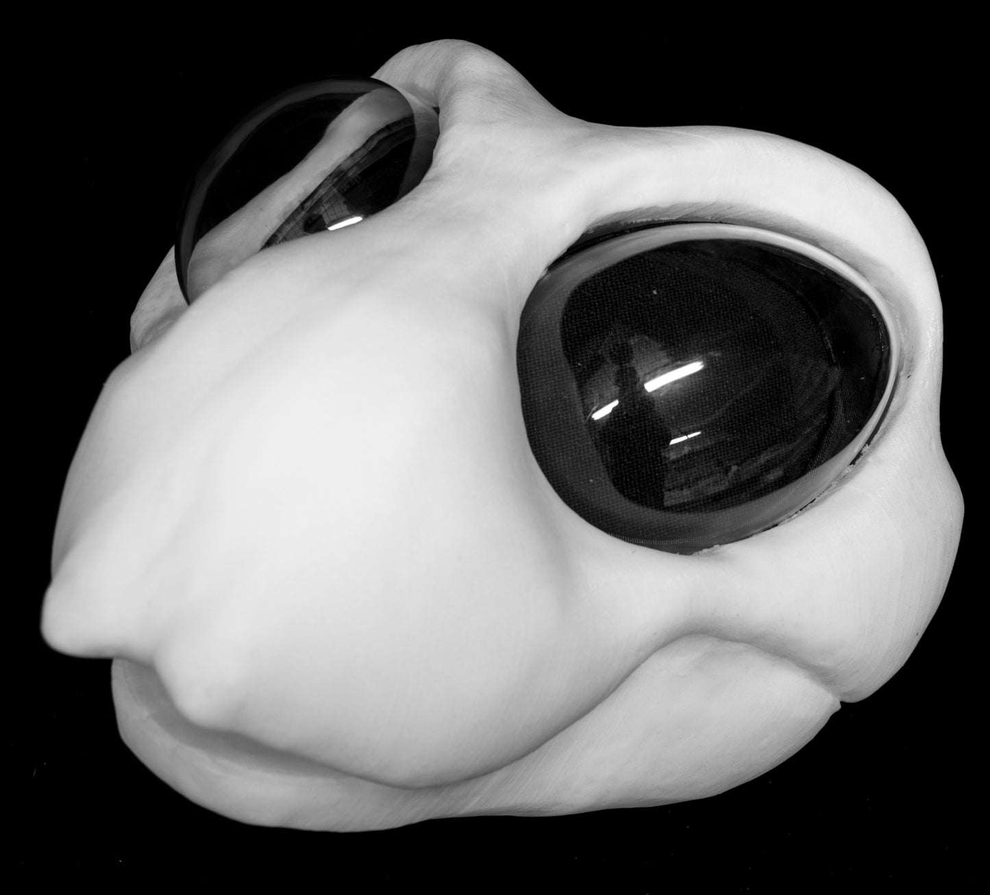 Large Bee, bumblebee, insect soft foam head base for costumes, mascots and fursuits.
