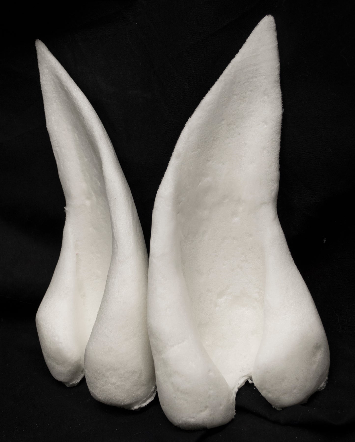 Manokit ears for costumes, mascots and fursuits
