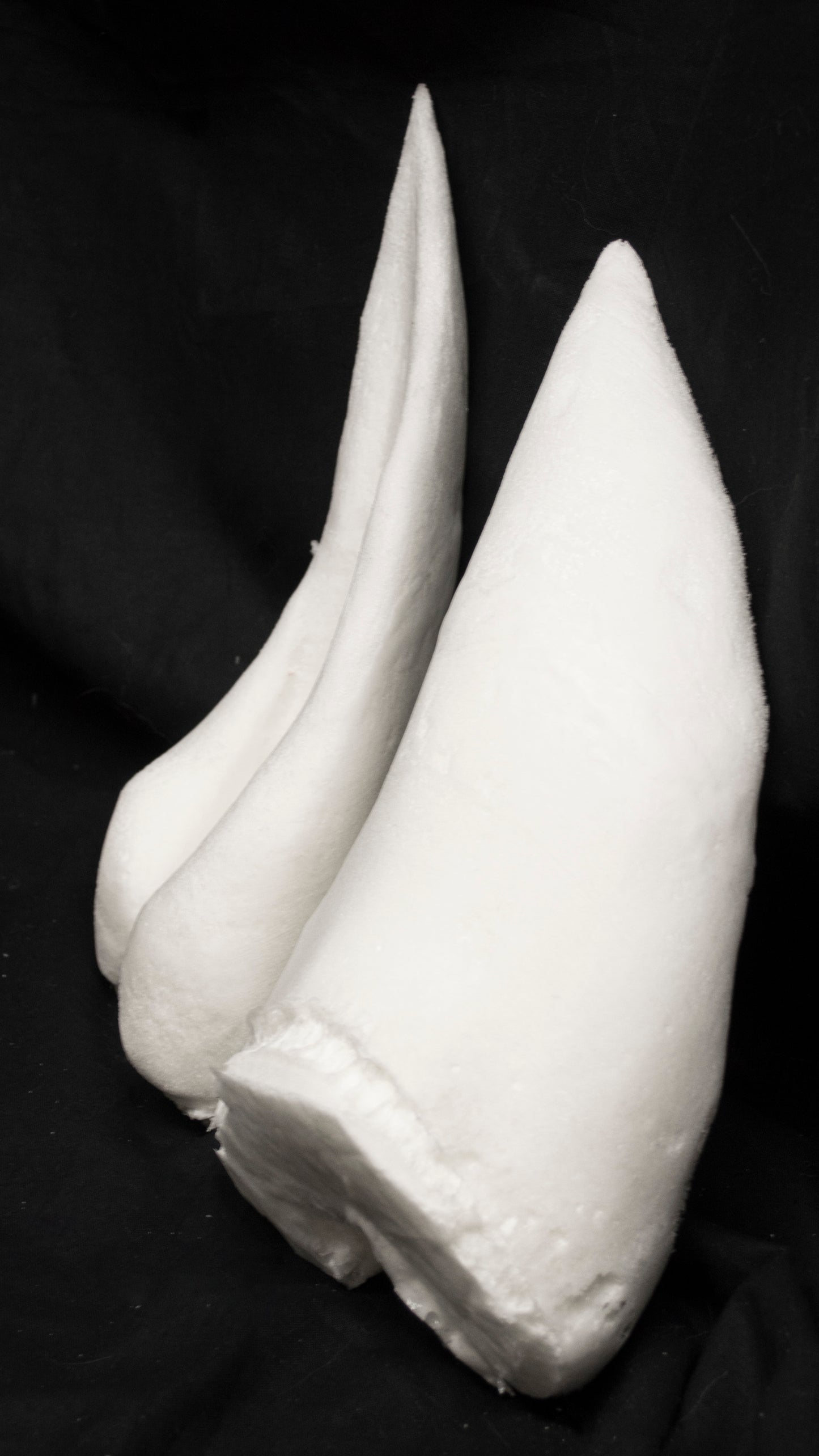 Manokit ears for costumes, mascots and fursuits