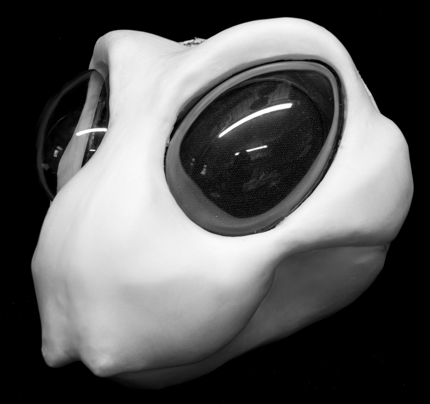 Large Bee, bumblebee, insect soft foam head base for costumes, mascots and fursuits.