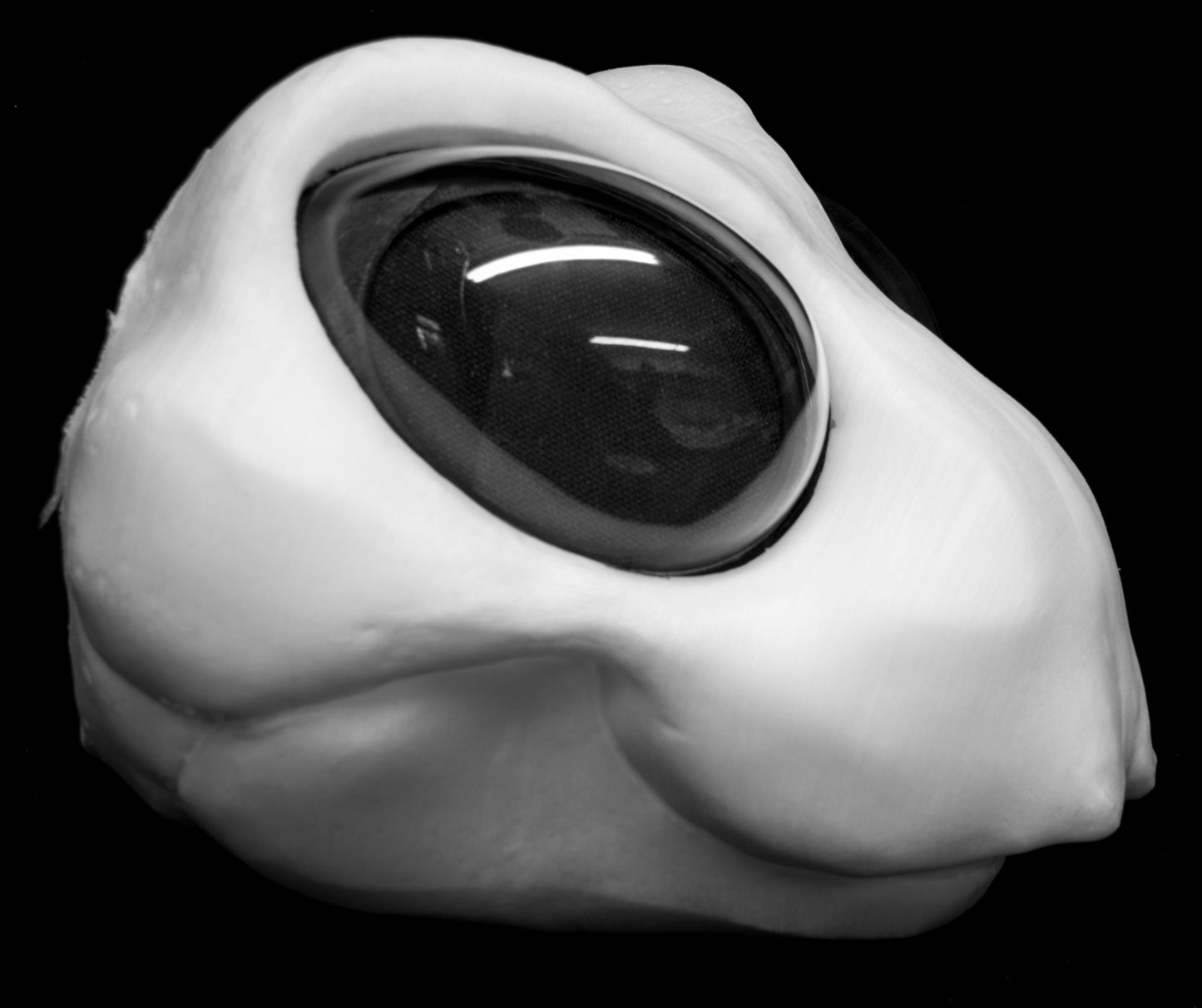 Large Bee, bumblebee, insect soft foam head base for costumes, mascots and fursuits.