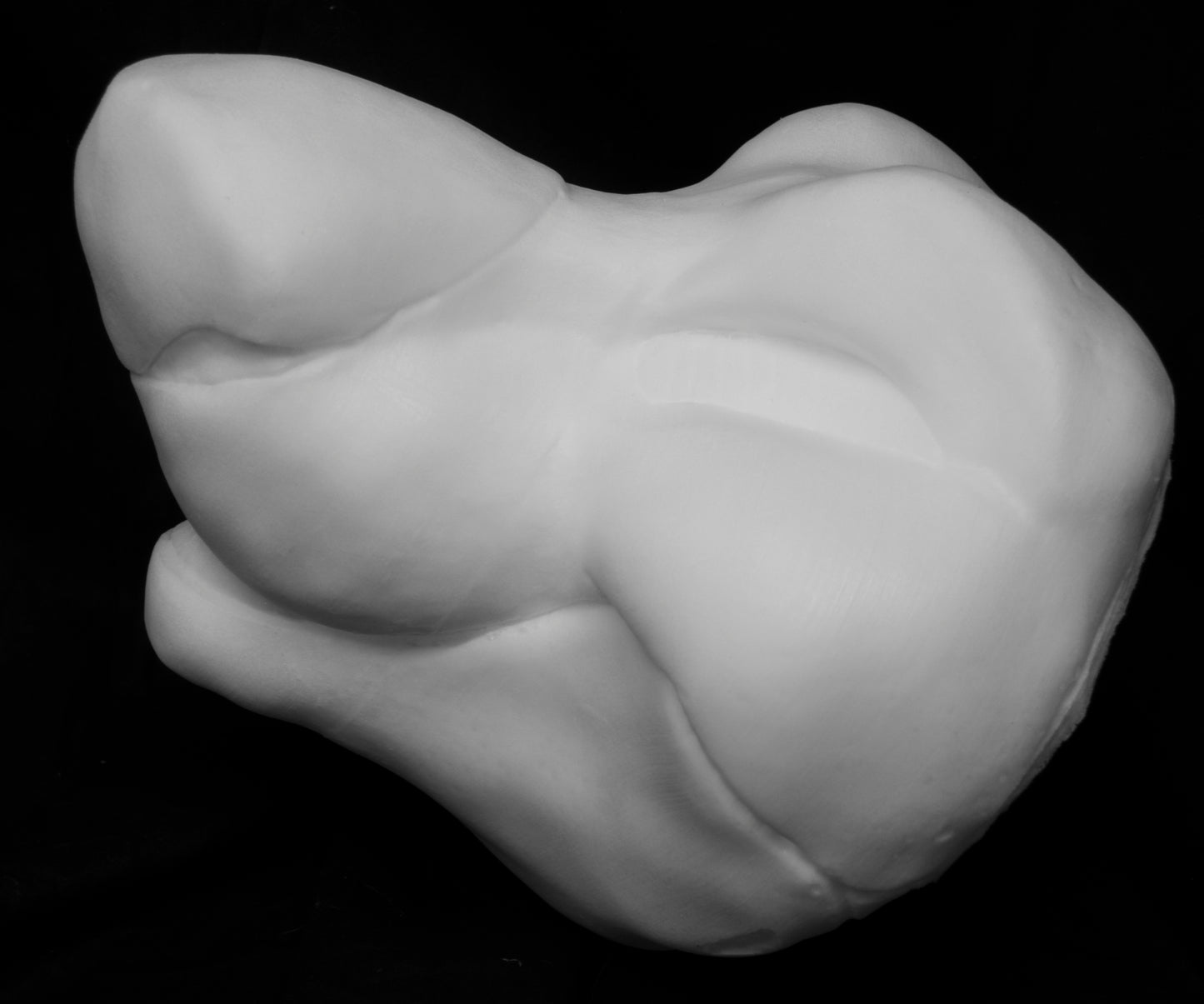 Manokit soft foam head base for costumes, mascots and fursuits.