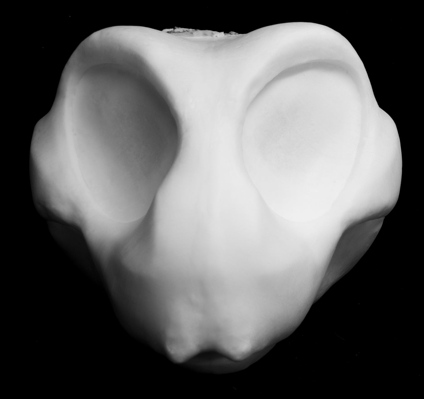 Large Bee, bumblebee, insect soft foam head base for costumes, mascots and fursuits.