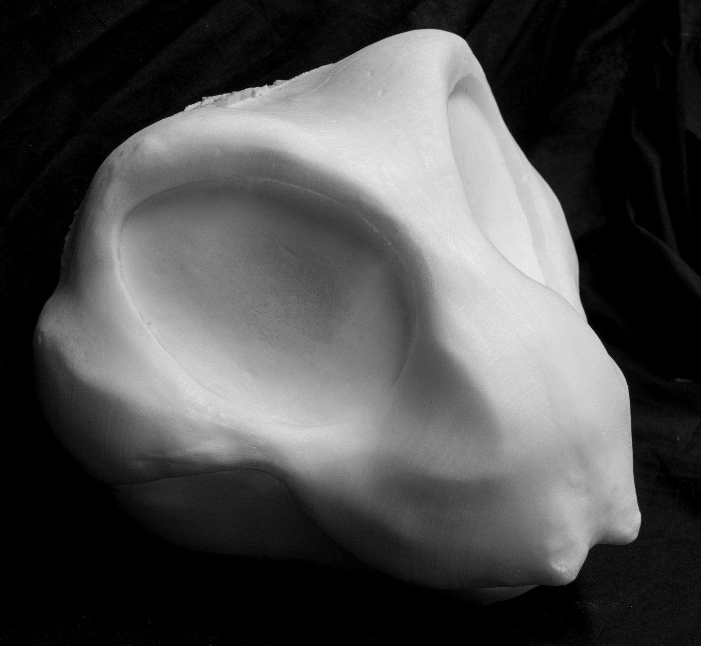 Large Bee, bumblebee, insect soft foam head base for costumes, mascots and fursuits.