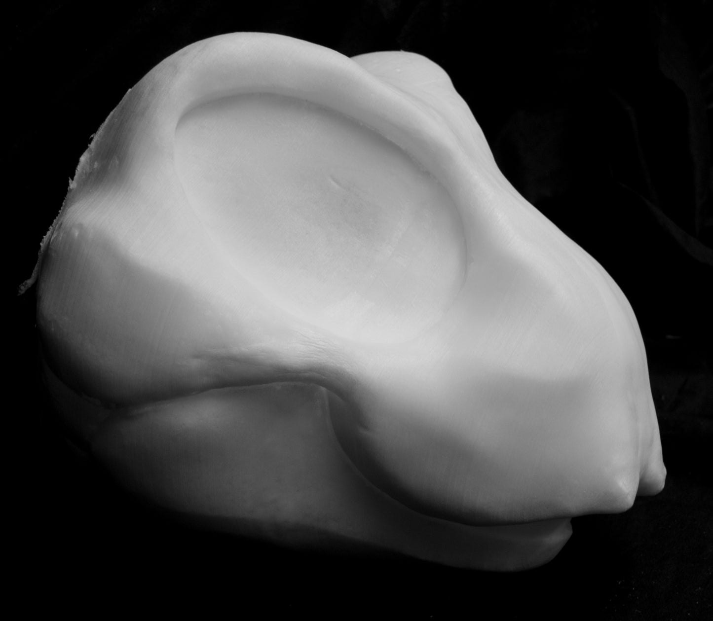 Large Bee, bumblebee, insect soft foam head base for costumes, mascots and fursuits.