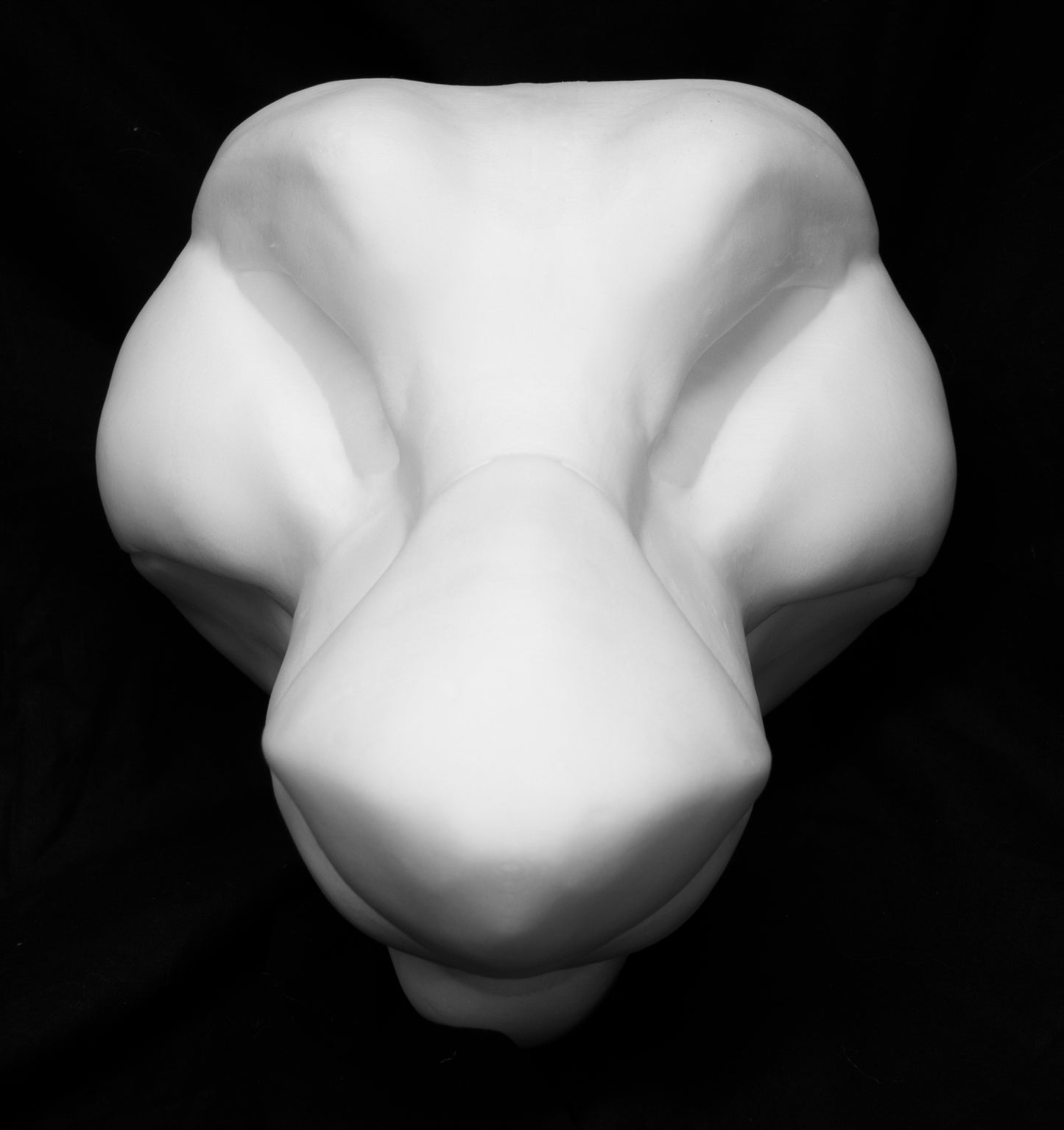 Manokit soft foam head base for costumes, mascots and fursuits.