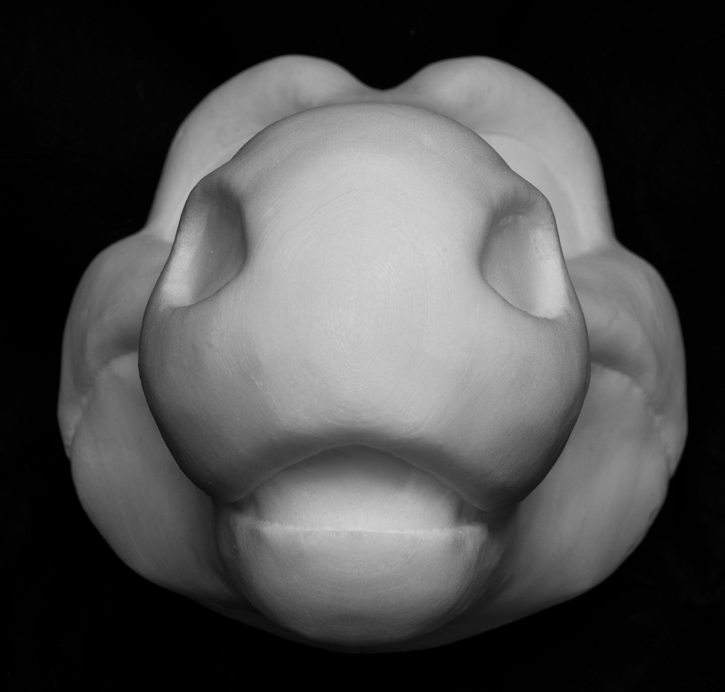 Angel Dragon foam head base for costumes, mascots and fursuits.