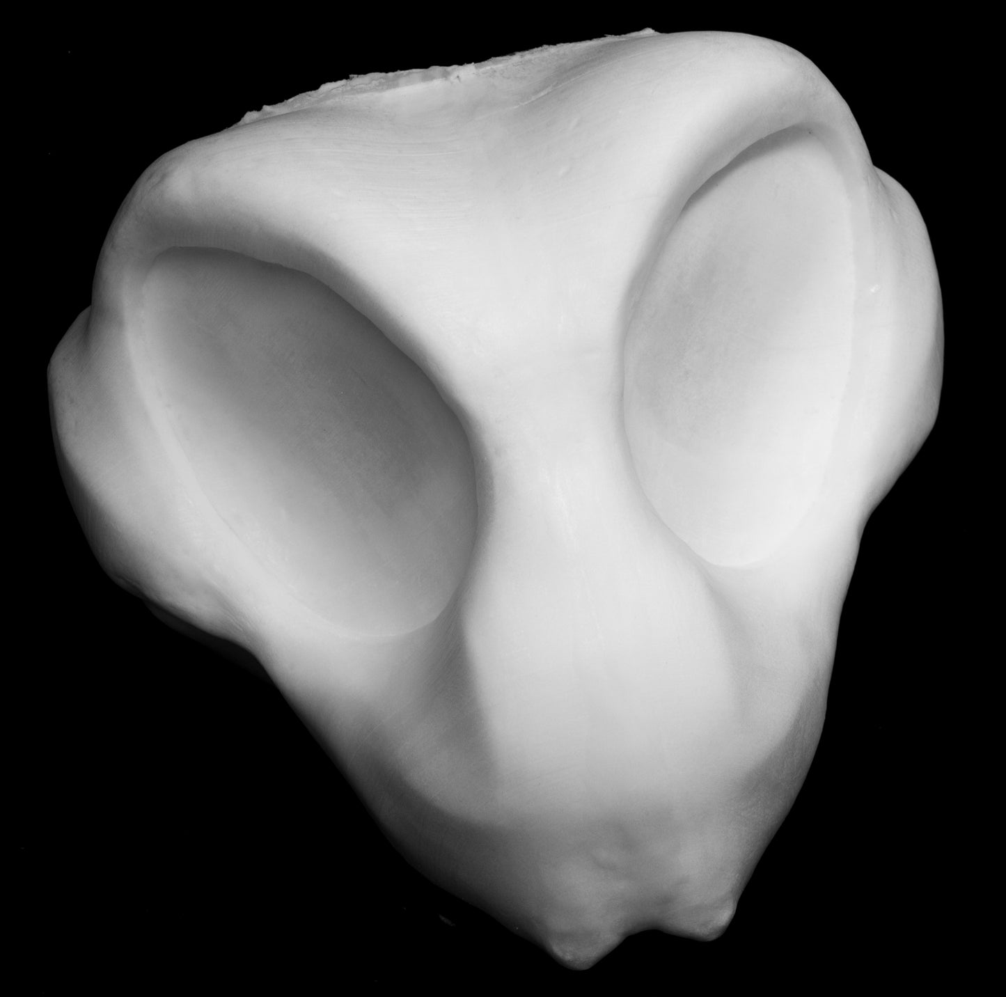 Large Bee, bumblebee, insect soft foam head base for costumes, mascots and fursuits.
