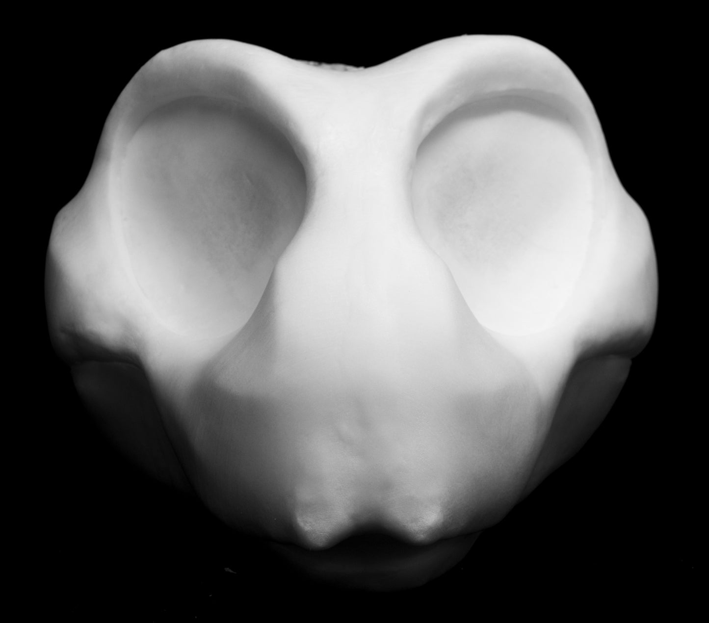 Large Bee, bumblebee, insect soft foam head base for costumes, mascots and fursuits.