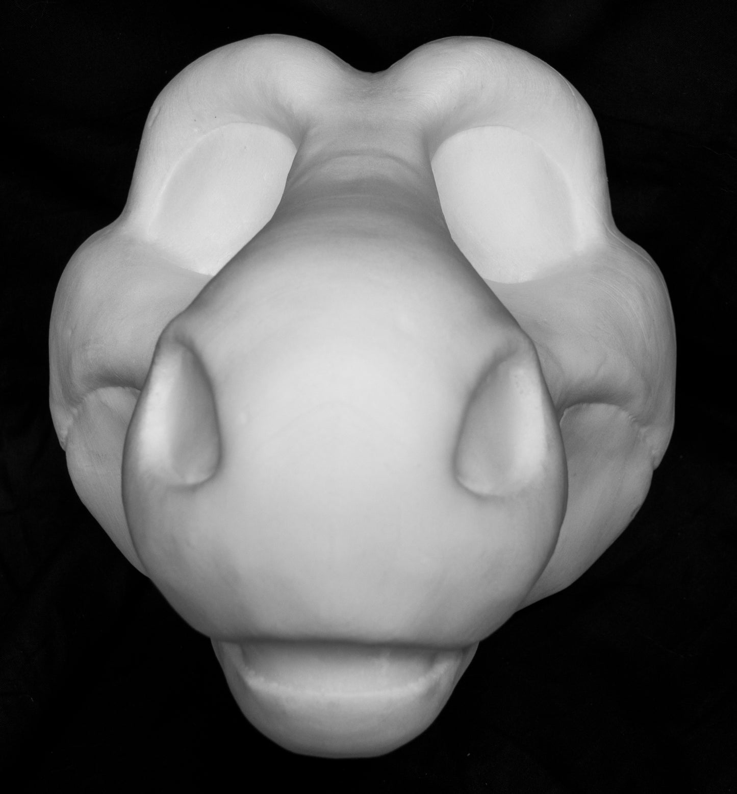 Angel Dragon foam head base for costumes, mascots and fursuits.