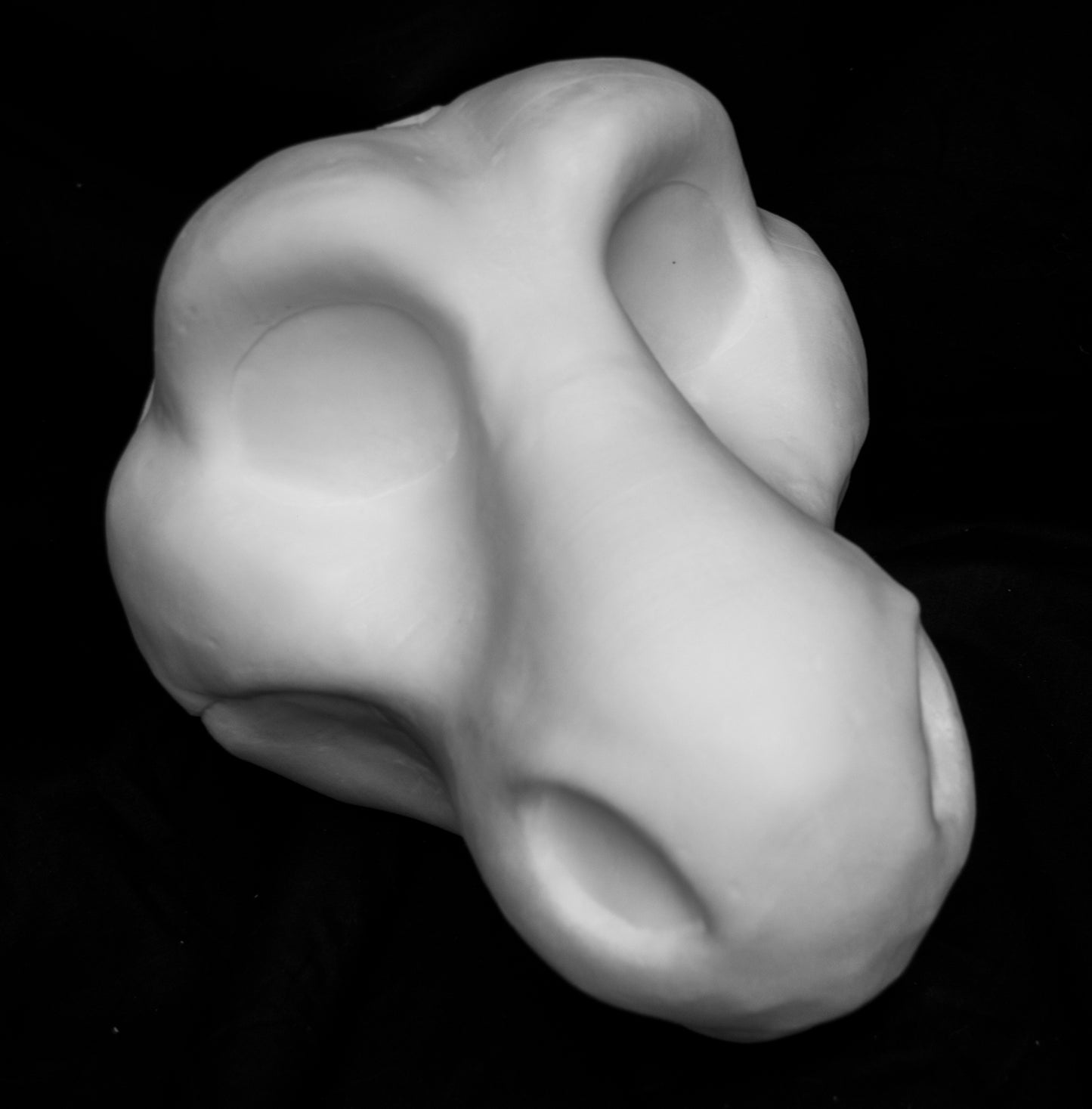 Angel Dragon foam head base for costumes, mascots and fursuits.