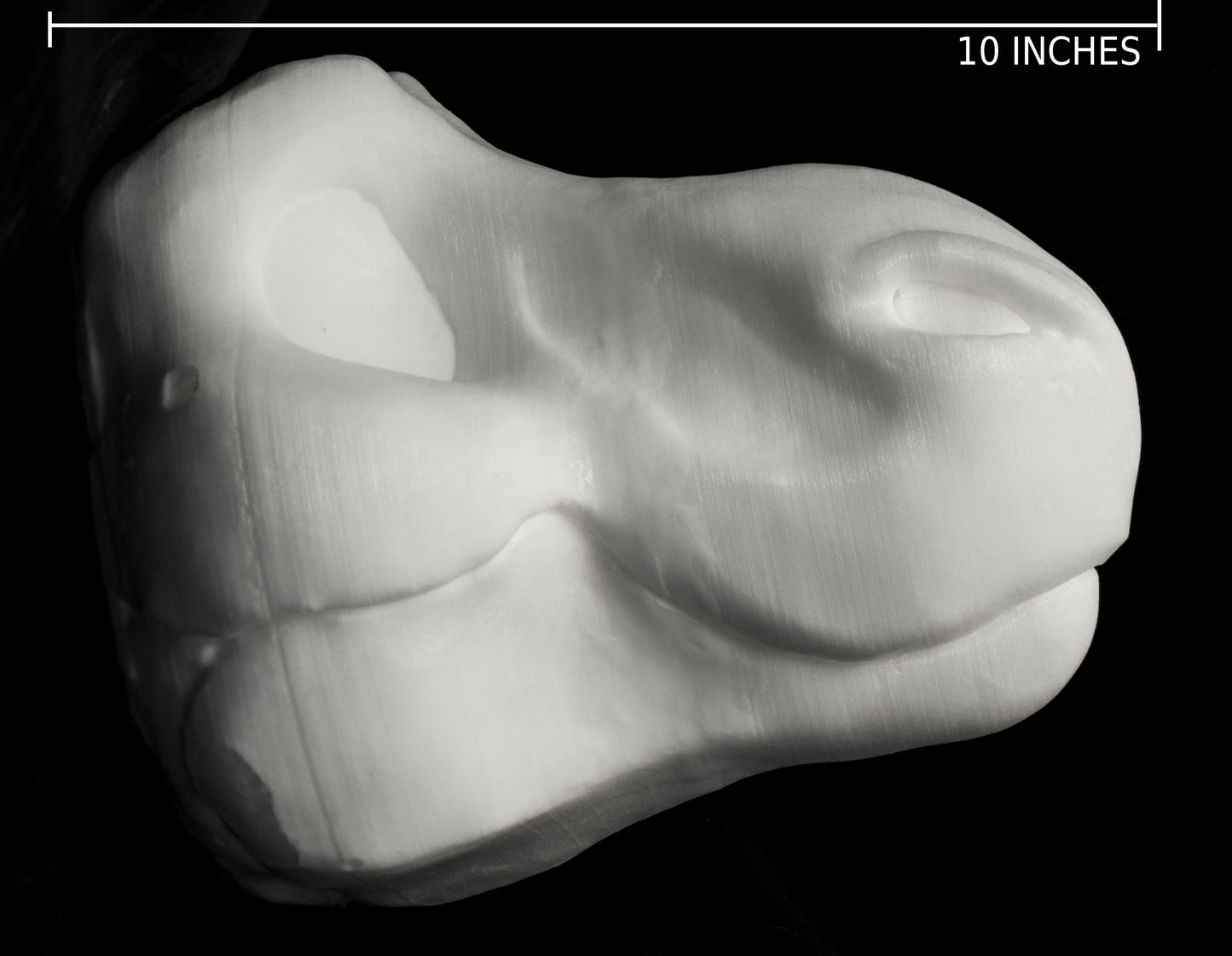 Cut & carved Dinosaur foam head base for costumes, mascots and fursuits.
