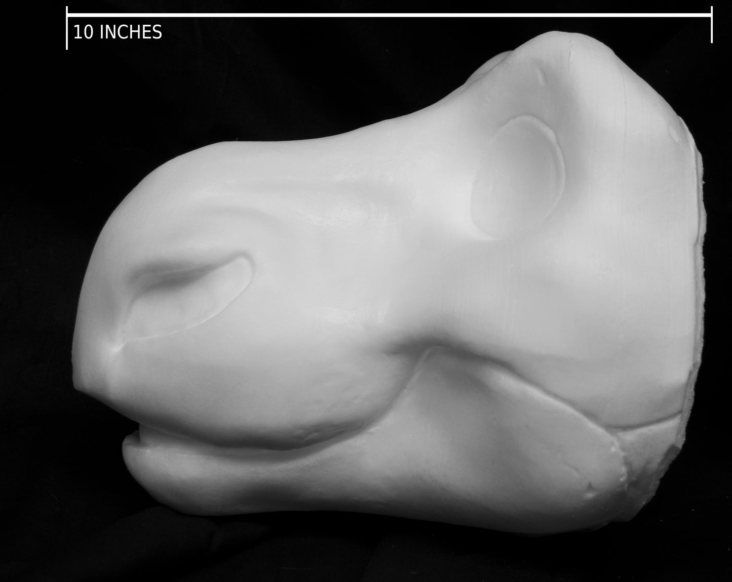 Dragon foam head base for costumes, mascots and fursuits.