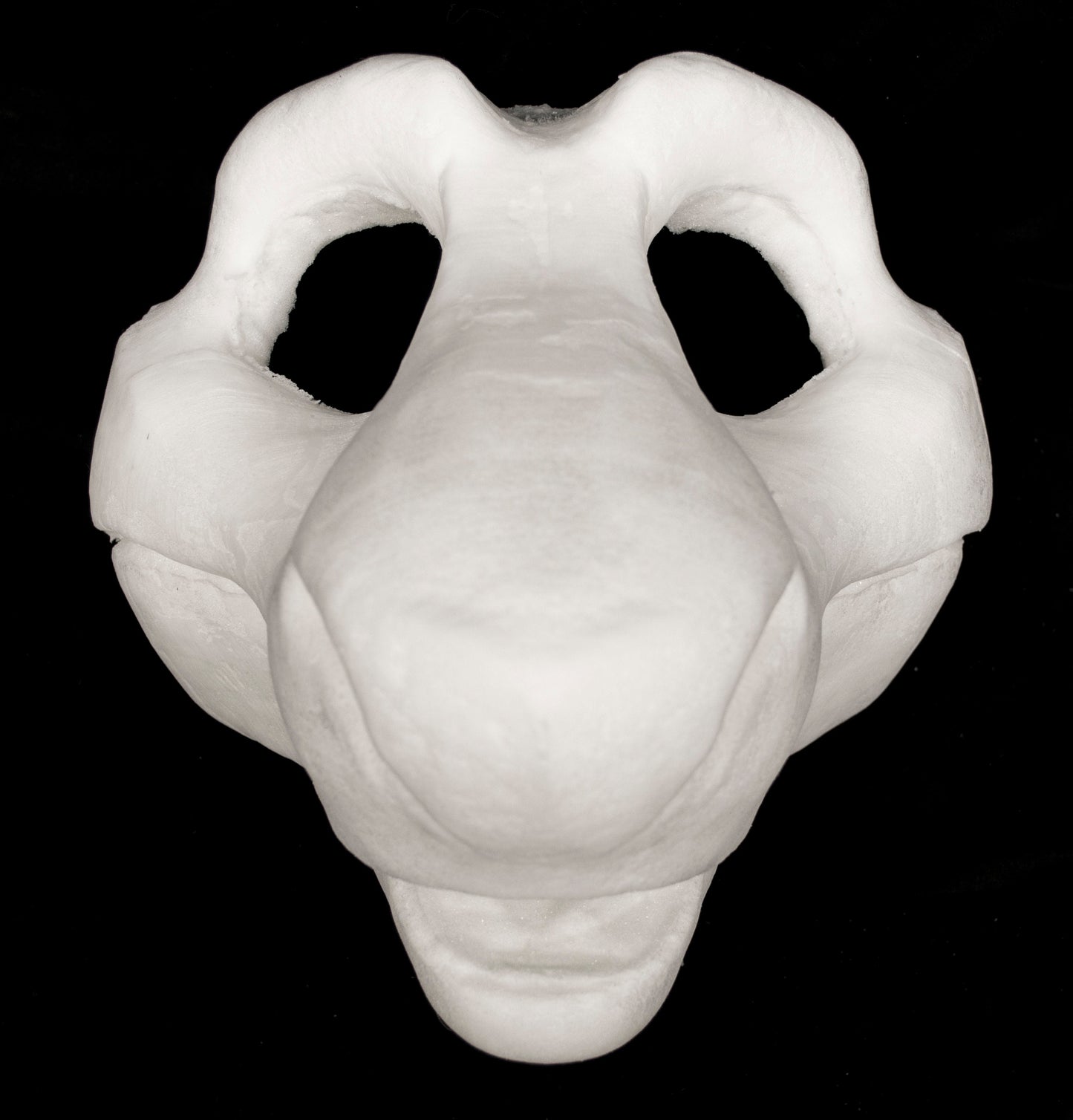 Sergal bundle deal: cut and carved head base, Eyes and feet for costumes mascots and fursuits.