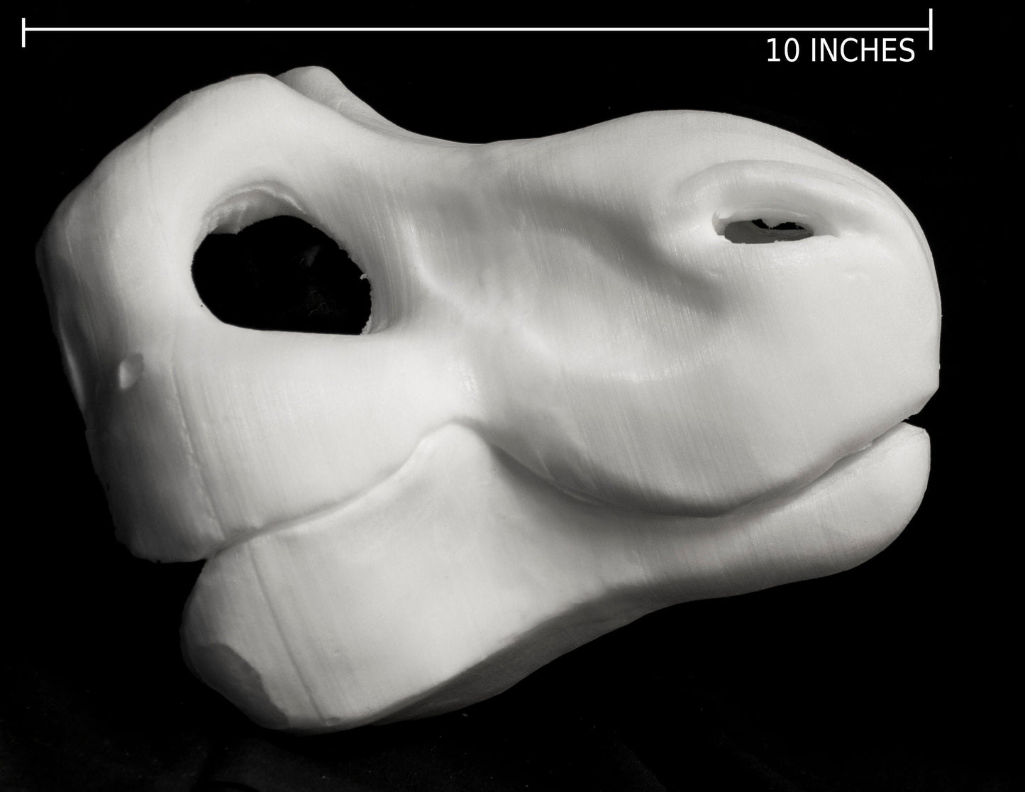 Cut & carved Dinosaur foam head base for costumes, mascots and fursuits.