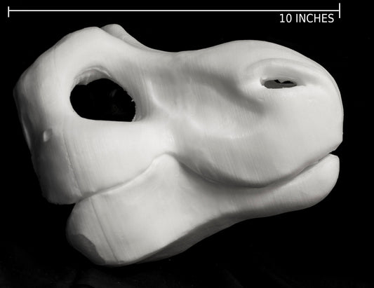 Cut & carved Dinosaur foam head base for costumes, mascots and fursuits.