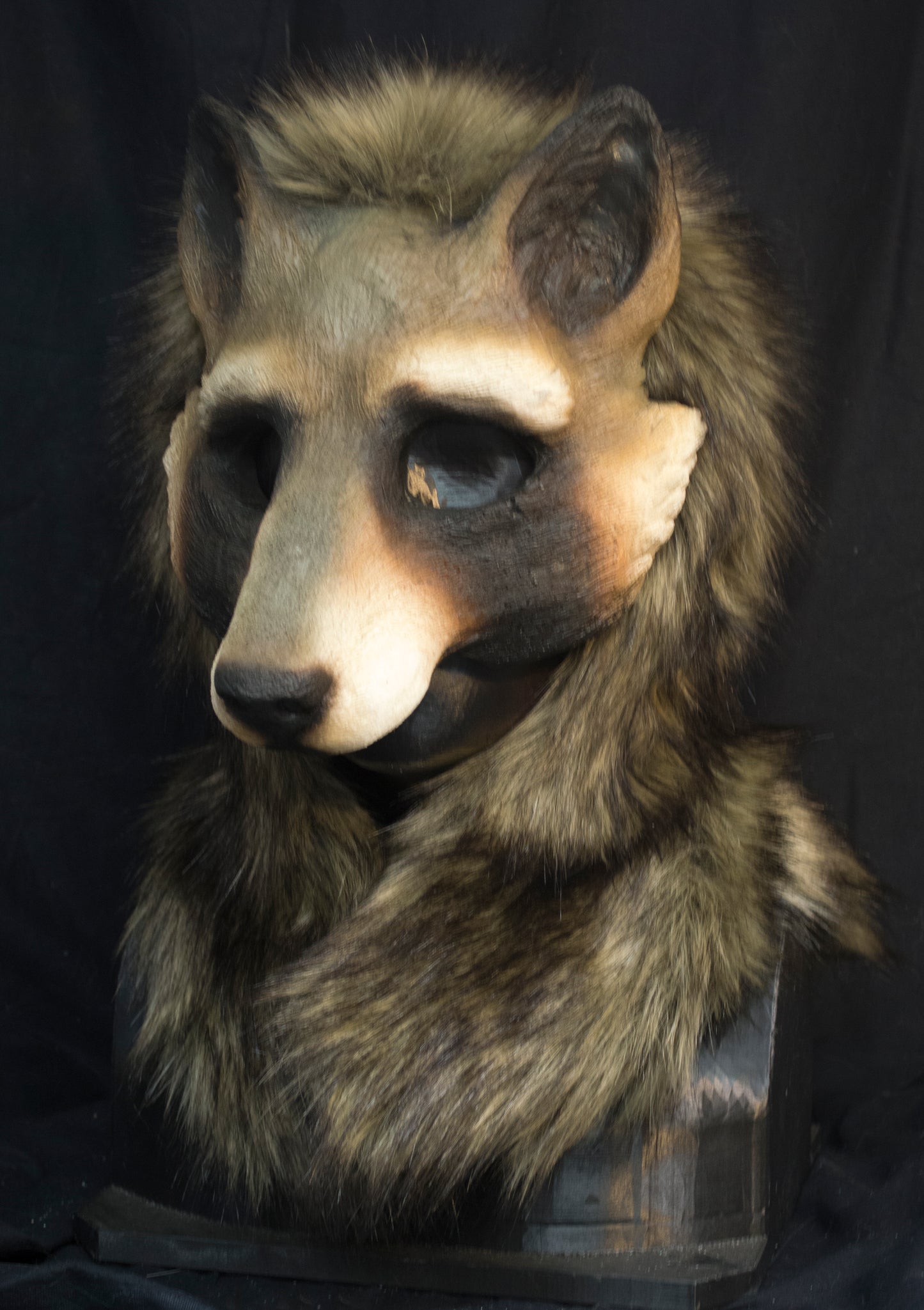Awaykin Raccoon : Made to order combat friendly LARP half mask