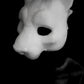 Large Feline, Lionin Mask for LARP, soft foam for safe combat