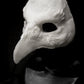 Corvid / Raven / bird of prey Mask for LARP, soft foam