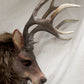 Deer Mask for LARP, soft foam for safe combat