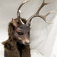 Deer Mask for LARP, soft foam for safe combat