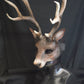 Awaykin Deer with large antlers : Made to order combat friendly LARP half mask