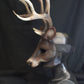 Awaykin Deer with large antlers : Made to order combat friendly LARP half mask