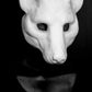 Hyena, Gnoll, Wild-dog Mask for LARP, soft foam