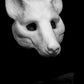 Hyena, Gnoll, Wild-dog Mask for LARP, soft foam