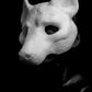 Hyena, Gnoll, Wild-dog Mask for LARP, soft foam