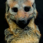 Awaykin Coyote: Made to order combat friendly LARP half mask