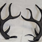 Large Foam Antlers for costuming