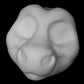 Kemono Pony / angel dragon soft foam head base for costumes, mascots and fursuits.