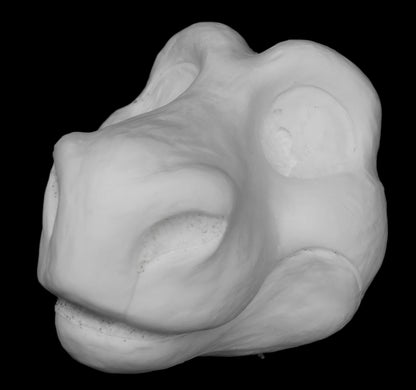 Raptor foam head base for costumes, mascots and fursuits.