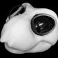 Large Bee, bumblebee, insect soft foam head base for costumes, mascots and fursuits.