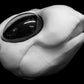 Large Bee, bumblebee, insect soft foam head base for costumes, mascots and fursuits.