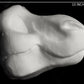Cut & carved Dinosaur foam head base for costumes, mascots and fursuits.